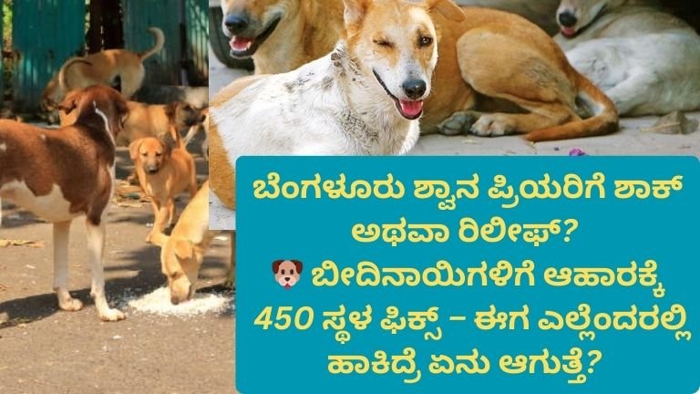 ಬೆಂಗಳೂರು ಶ್ವಾನ ಪ್ರಿಯರಿಗೆ ಶಾಕ್ ಅಥವಾ ರಿಲೀಫ್? 🐶 ಬೀದಿನಾಯಿಗಳಿಗೆ ಆಹಾರಕ್ಕೆ 450 ಸ್ಥಳ ಫಿಕ್ಸ್ – ಈಗ ಎಲ್ಲೆಂದರಲ್ಲಿ ಹಾಕಿದ್ರೆ ಏನು ಆಗುತ್ತೆ? [BIG Update]