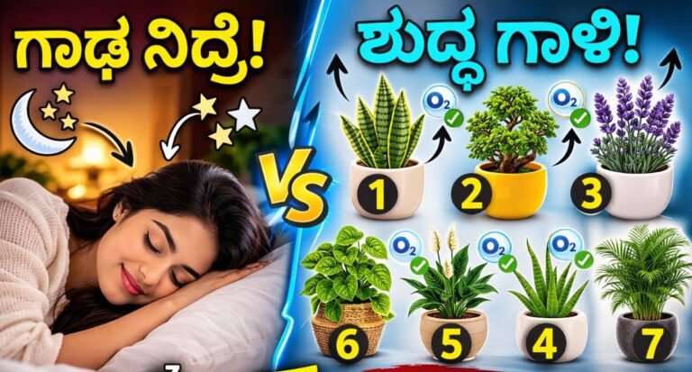 best indoor plants for bedroom that give oxygen at night and improve sleep quality