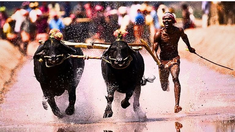 40ನೇ ವರ್ಷದ ಉಬರ್ ಕಂಬಳೋತ್ಸವ